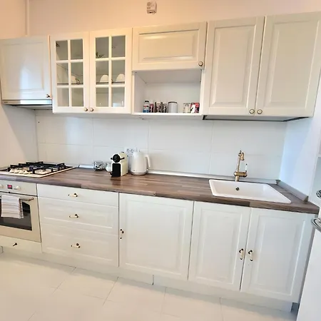 Us Embassy & Zoo Baneasa - Privighetorilor Appartement *