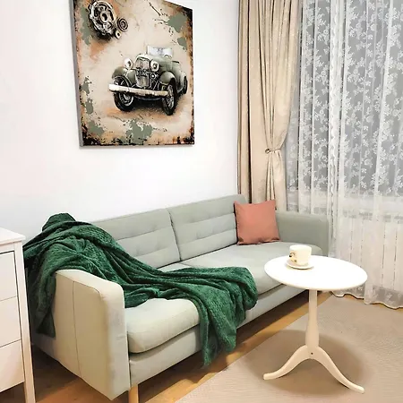 Apartment Us Embassy & Zoo Baneasa - Privighetorilor Bucharest