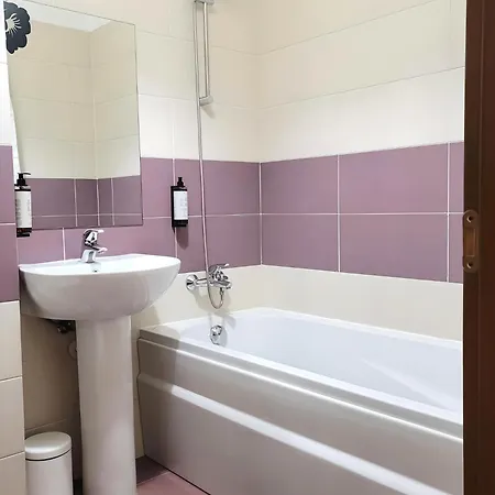 Us Embassy & Zoo Baneasa - Privighetorilor Appartement *